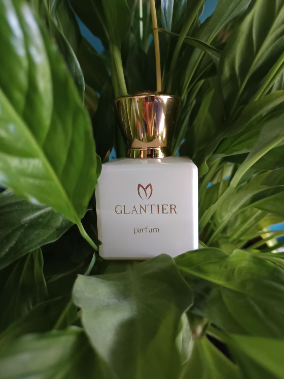Glantier Premium 507 - 50ml